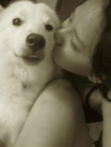 been in love - iv been in love with you