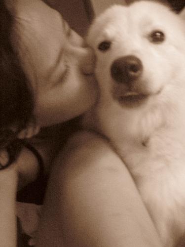 Animal Lover - i love animals...