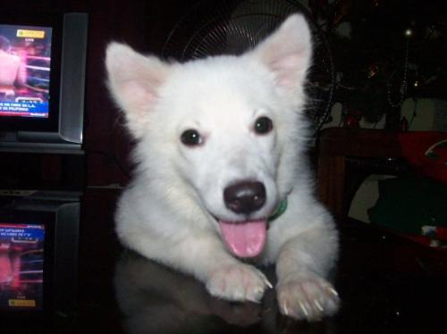 Smiling at You - happy to meet you...