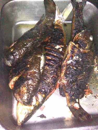 Grilled Milk fish - A stuffed grilled fish