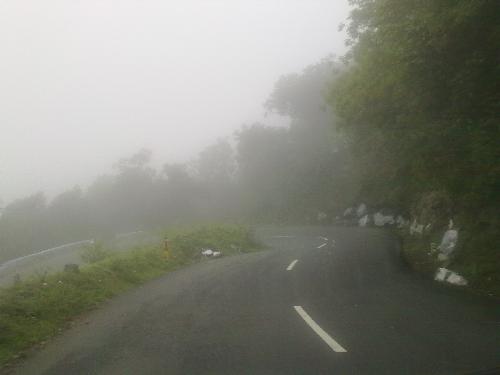 Road view - Road view snap took while going towards hill station