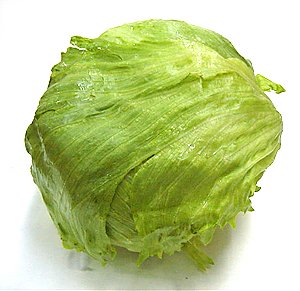 lettuce - almost as good as carrots