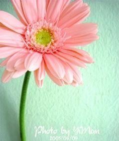 flower - When I think about the flower, I will have more strength to move on.