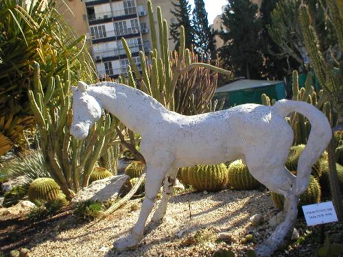 Hourse - A beaytiful wite hourse.