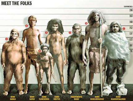 evolution of man - evolution