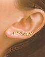 Pierced Ears - this is the photo of the pierced ears