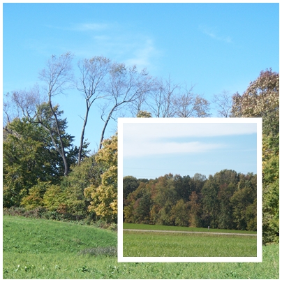 Collage - Indiana fall scenes collage