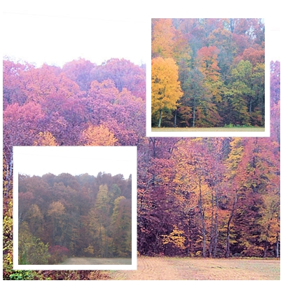 Collage - Indiana fall scene collage
