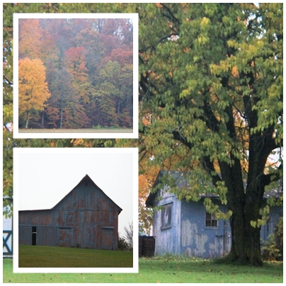 Collage - Indiana fall scene collage