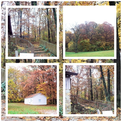 Collage - Indiana fall scene collage