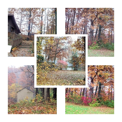 Collage - Indiana fall scene collage