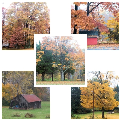 Collage - Indiana fall scene collage