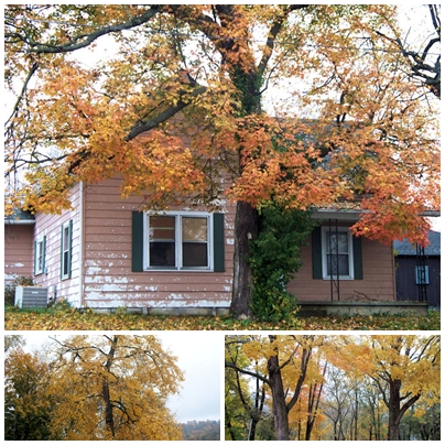 collage - Indiana fall scene collage