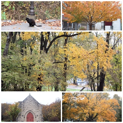 Collage - Indiana fall scene collage