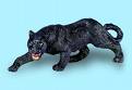 panther - panther