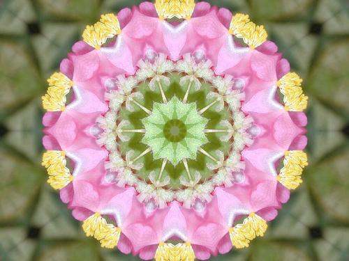 Kaleidoscope - Digital Art