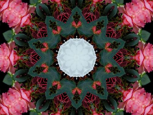Kaleidoscope - Digital Art