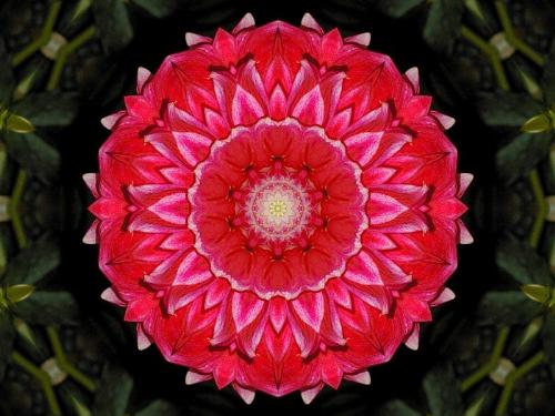 Kaleidoscope - Digital Art