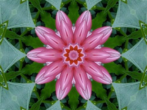 Kaleidoscope - Digital Art