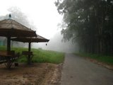 Took in munar - took this photo in munar hill station