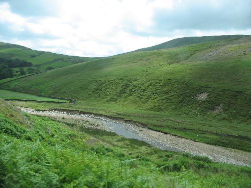 grgeen hills - once there were forests