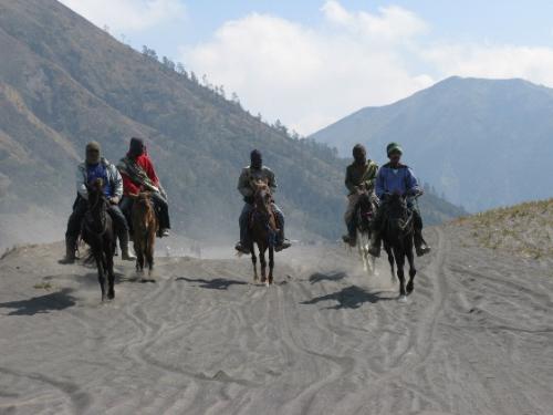 Mount Bromo's rangers - They are horsemen in Mount Bromo Indonesia. They offer transportation services to the tourists.