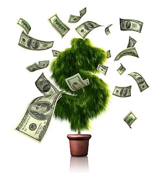 Making Extra Money - Picture of a money tree. Blowing money around.