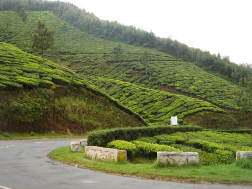 Munnar - Hair pin bend curves(roads) and tea estates in Munnar