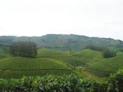 Hill Station - Hill Station in India!