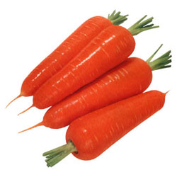 carrots - edible vegetable