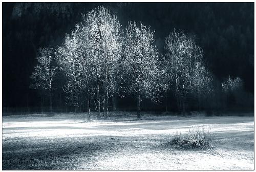 nature - winter