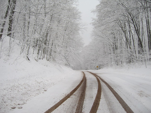 nature - winter