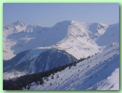 winter - nature