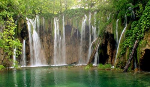 nature - beautiful