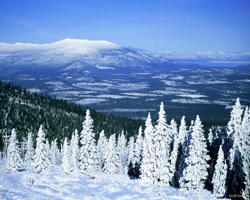 winter - nature