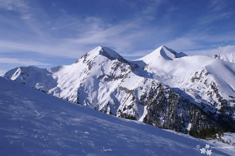 winter - nature