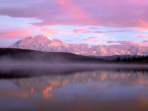 nature - beautiful picture