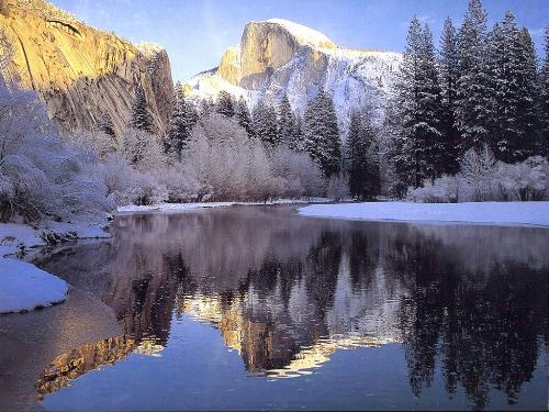 nature - picture