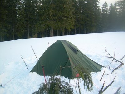 winter - special picture