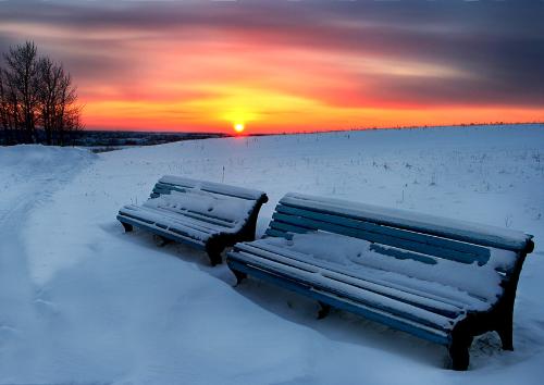 winter - nature