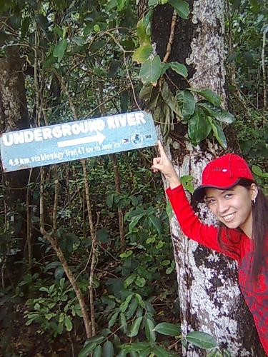 Monkey or Jungle Trail Going to Underground River - A 4.8km walk for Monkey Trail and 4.7km walk for Jungle Trail going to Underground River Palawan...