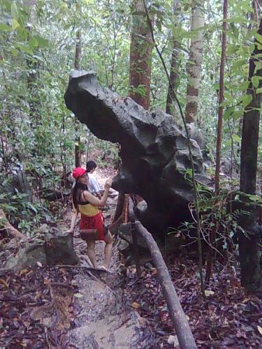 4.8km Monkey Trail to Underground River - way going to the underground river... a 4.8km monkey trail.