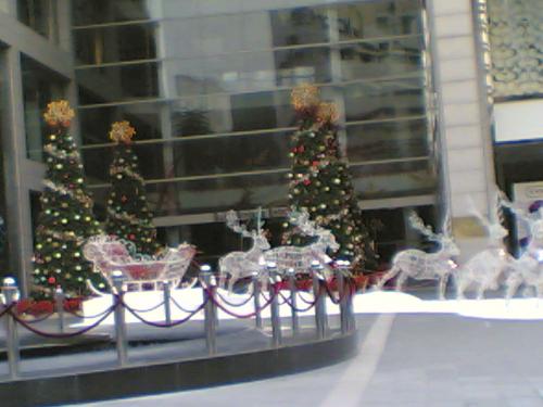 Christmas Trees and Reindeers - Snapped this photo in front of Pavillion, KL