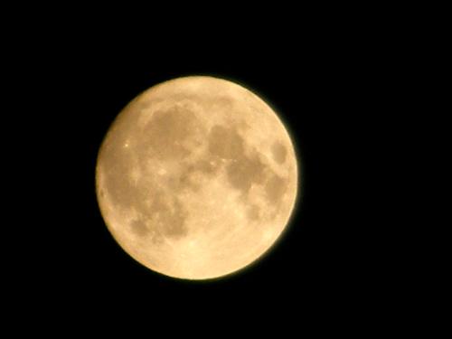 The moon - This picture is shoot with 40x zoom.