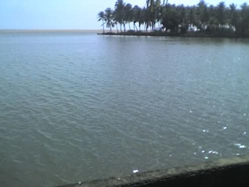 Kaayal or Lagoon -  This is one of my local favorite spot. I use to spend long hours over here. It is a place called Aakulam and this lagoon is called Aakulam kaayal. Its in Kerala