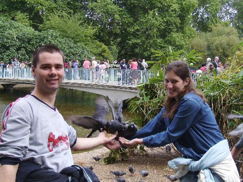 4 Pigeons in a row - And me and my girlfriend as a bonus in this picture while we were feeding the pigeons in St James Park, in our London trip this august.