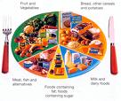 Diet Chart - This is the photo of the diet chart