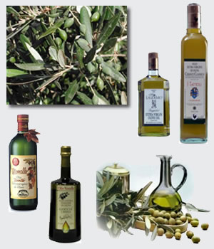 olive oils - extra virgin olive oil vs. olive oil