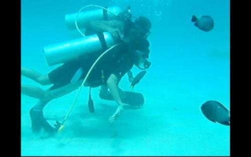 scuba diving - learning how to scuba dive