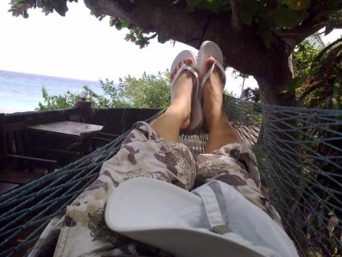relaxing on a hammock - enjoying the day sleeping on a hammock in the beach with all the fresh air